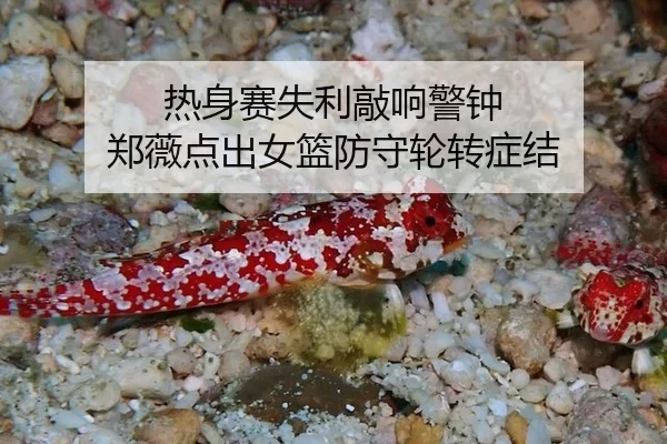 热身赛失利敲响警钟 郑薇点出女篮防守轮转症结